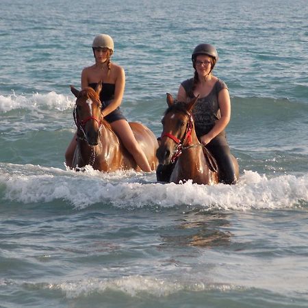 Patara Ranch Hotel Ngoại thất bức ảnh